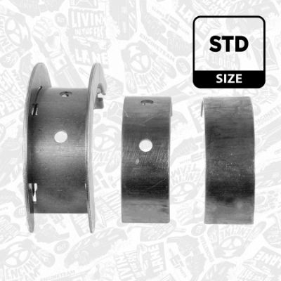 SET RULEMT ARBORE COTIT ET ENGINETEAM LH003500 2