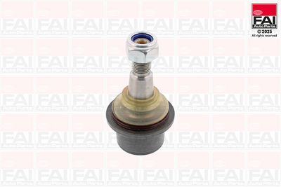 Шарнири FAI AutoParts SS1092