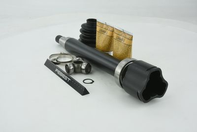 SET ARTICULATIE PLANETARA FEBEST 2111FOCIIMTRH 10