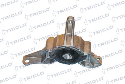 окачване, двигател TRICLO 364615