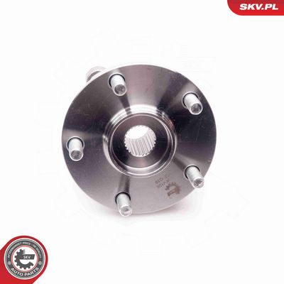 SET RULMENT ROATA ESEN SKV 29SKV106 3