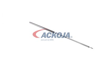 AMORTIZOR PORTBAGAJ ACKOJA A520065 20