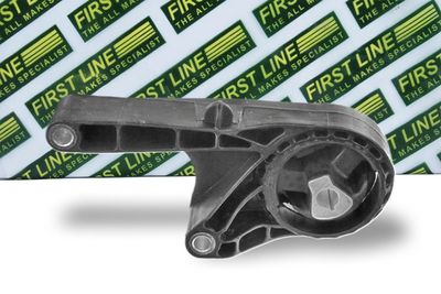 окачване, двигател FIRST LINE FEM4318