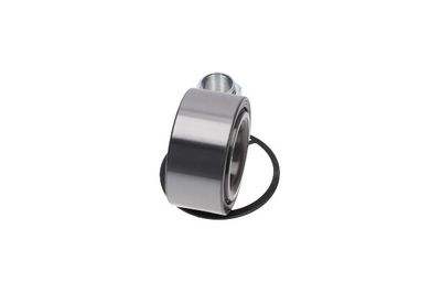 Sada ložisek kol KAVO PARTS WBK-2025