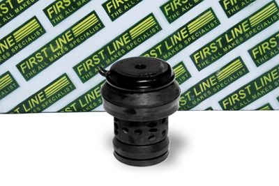 окачване, двигател FIRST LINE FEM3112