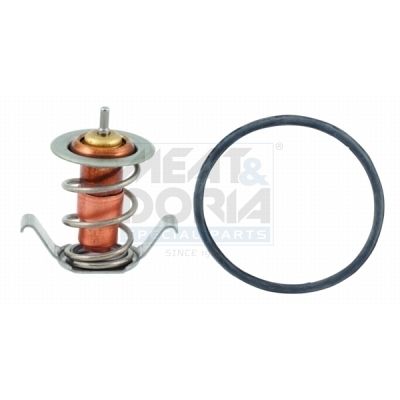 TERMOSTAT LICHID RACIRE