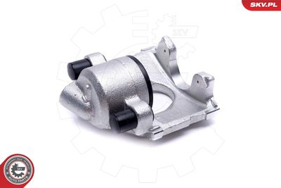 Brake Caliper 56SKV262