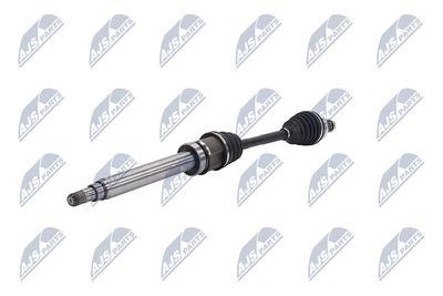 PLANETARA NTY NPWBM131 2