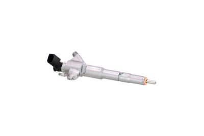 INJECTOR REMANTE 002003002384R 42