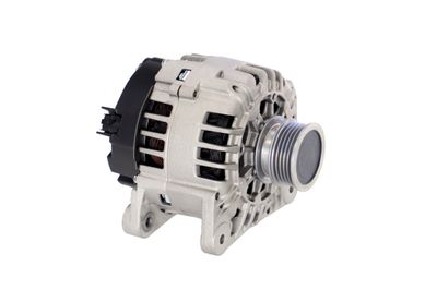 GENERATOR / ALTERNATOR REMANTE 011003000135R 48
