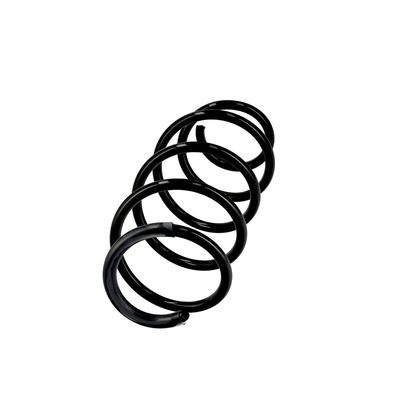 ARC SPIRAL EIBACH R10097 2