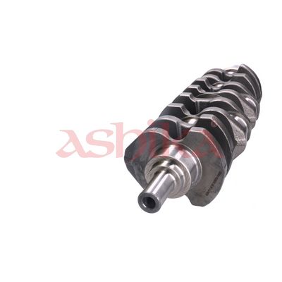 ARBORE COTIT ASHIKA 18IS002 2