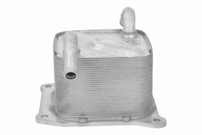 RADIATOR ULEI ULEI MOTOR ACKOJA A38600014 6
