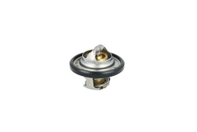 TERMOSTAT LICHID RACIRE NRF 725544 34