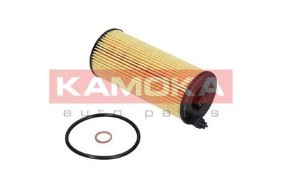 Oil Filter F110901