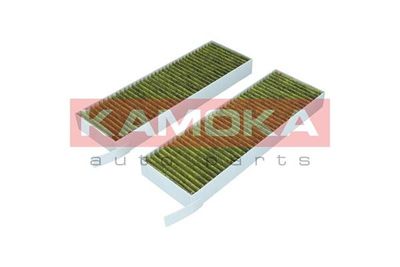 Filter, cabin air 6080048