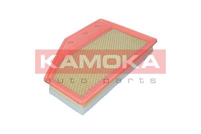 Air Filter F258201