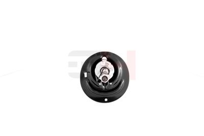 AMORTIZOR GH GH354870H 17
