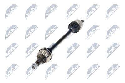 PLANETARA NTY NPWLR023 19