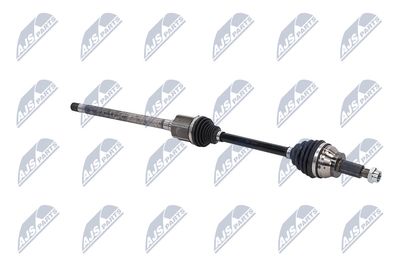 PLANETARA NTY NPWLR031 10