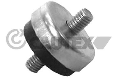 Подвеска, радиатор CAUTEX 767216 для VW JETTA
