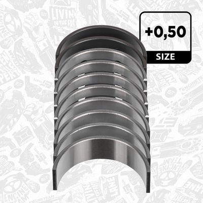 SET CUZINEțI ARBORE COTIT