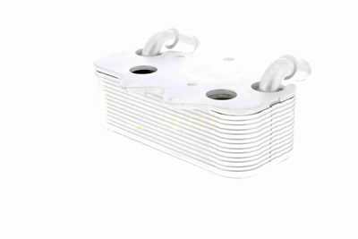 RADIATOR ULEI ULEI MOTOR VEMO V40602096 6