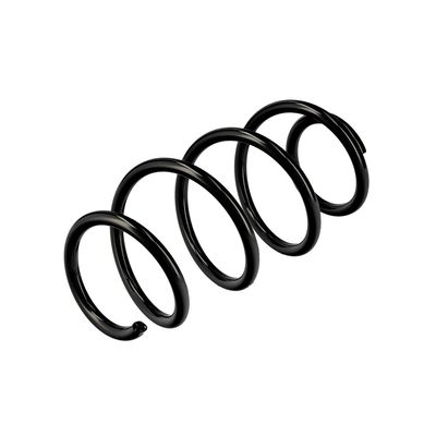ARC SPIRAL EIBACH R10712 4