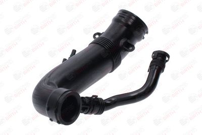 FURTUN EAR SUPRAALIMENTARE BIRTH 55938 7