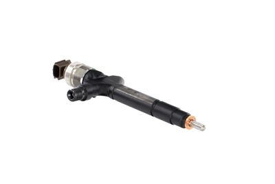 INJECTOR REMANTE 002003001205R 50