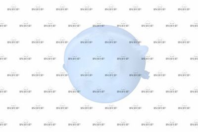 VAS DE EXPANSIUNE RACIRE NRF 454067 2