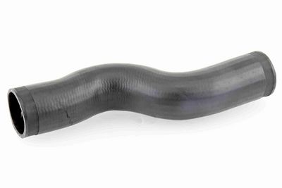 FURTUN EAR SUPRAALIMENTARE