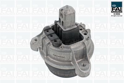 FAI AutoParts Variklio montavimas
