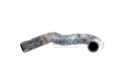 FURTUN RADIATOR VAICO V300227 13