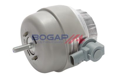 BOGAP Variklio montavimas