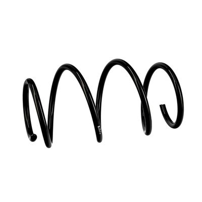 ARC SPIRAL EIBACH R10127 6