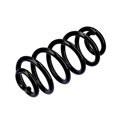 ARC SPIRAL EIBACH R10553 16