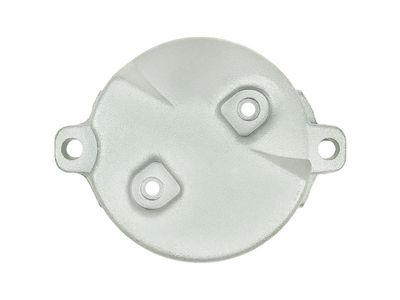 AS-PL Starterdeckel, Vergaser
