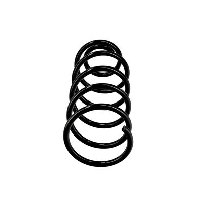 ARC SPIRAL EIBACH R10454 1