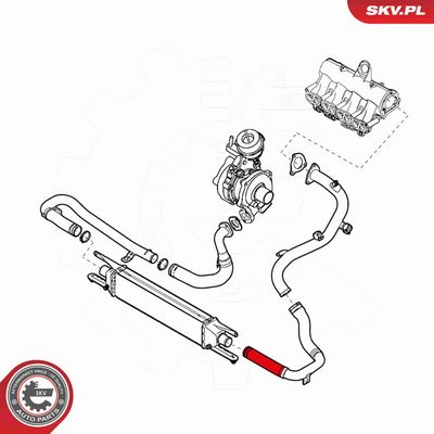 FURTUN EAR SUPRAALIMENTARE ESEN SKV 24SKV994 3