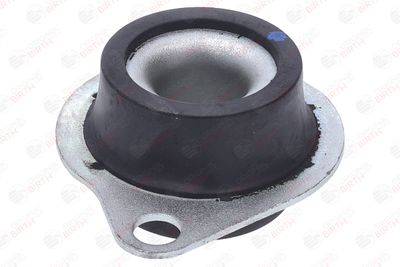 SUPORT TRANSMISIE MANUALA BIRTH 57080 10