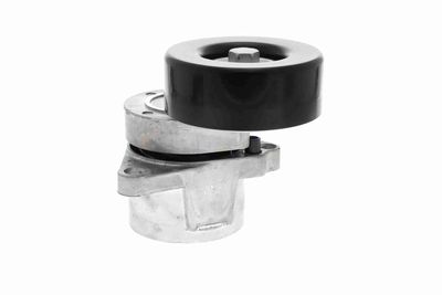 INTINZATOR CUREA CUREA DISTRIBUTIE ACKOJA A380332 6