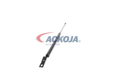 AMORTIZOR PORTBAGAJ ACKOJA A520063 51