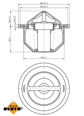 TERMOSTAT LICHID RACIRE NRF 725168 4