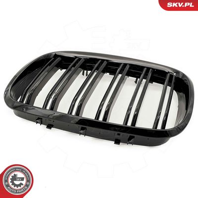 GRILA RADIATOR ESEN SKV 66SKV287 5