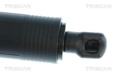 Plynárenská vzpera (pneumatická pružina), zavazadlový priestor TRISCAN 8710 43317
