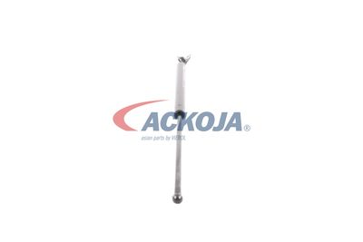 AMORTIZOR PORTBAGAJ ACKOJA A320092 25
