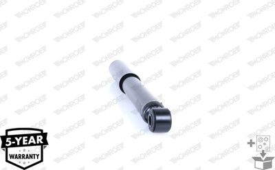 Shock Absorber D8015