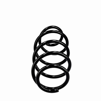 ARC SPIRAL EIBACH R10288 13