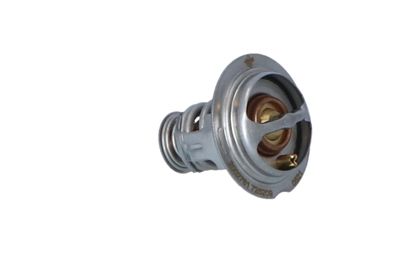 TERMOSTAT LICHID RACIRE NRF 725209 41